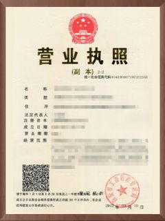 榮譽(yù)1